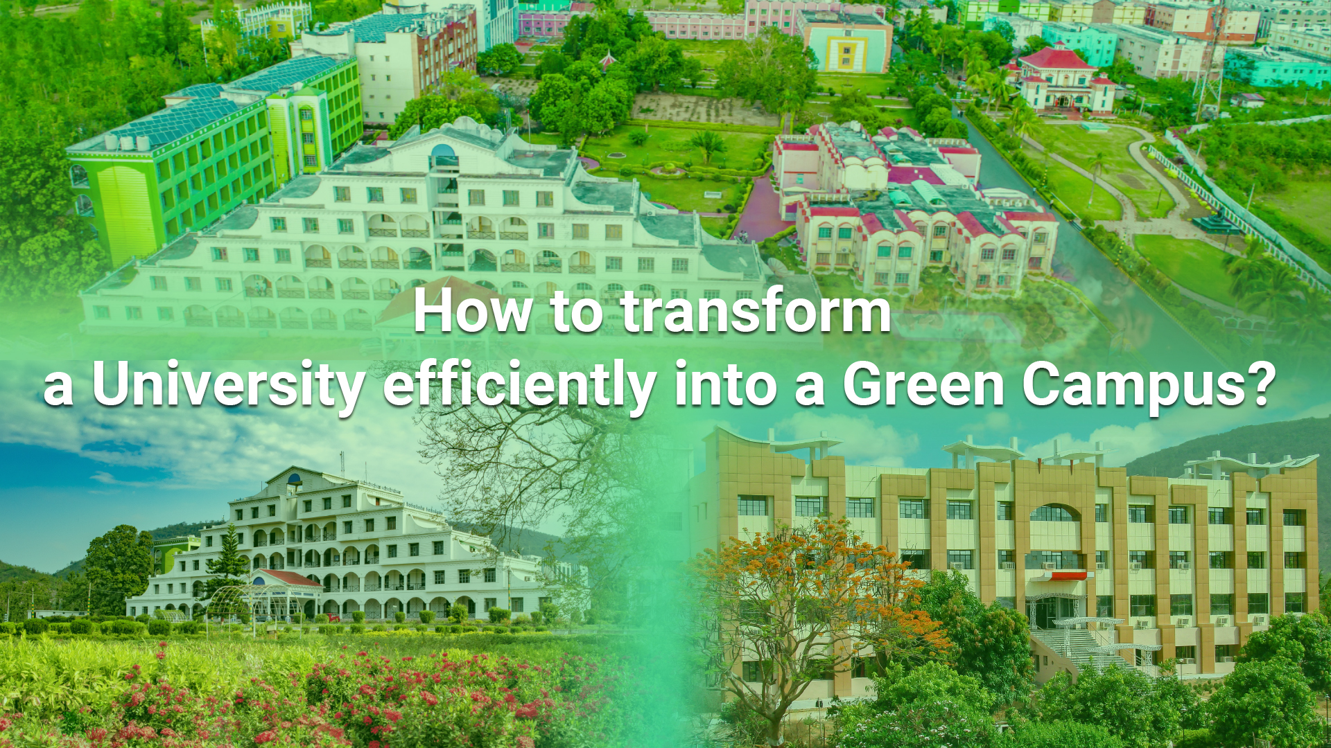How to transform a University efficiently into a Green Campus?